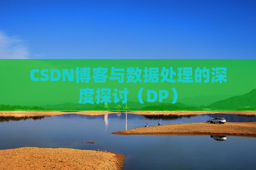 CSDN博客与数据处理的深度探讨（DP）